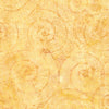 Geode Glow: Fossil Spiral Yellow Amber