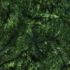Holiday Follies: Poinsettias and Pinecones Green Hunter