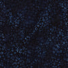 Frosted Wishes: Berries Blue Midnight Blue