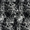 Boo Bash: Spiders/Webs Black