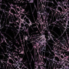 Boo Bash: Spiders/Web Black