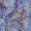 Lunar Glow: Assorted Stars Purple Urchin