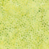 Lunar Glow: Assorted Stars Green Seedling