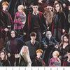 Harry Potter Quilt Back: Characters