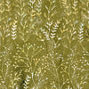 Meadow Brook: Meadow Green Sage