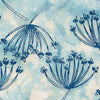 Meadow Brook: Queen Annes Lace Blue Heavenly
