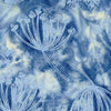 Meadow Brook: Queen Annes Lace Blue Powder Blue