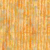 Meadow Brook: Tracks Orange Tiger
