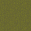 Watermark: Olive