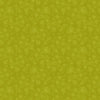 Watermark: Kiwi