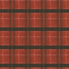 The Plaid One: Window Pane Plaid Carn Red