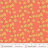 Sunshine: Honesty Coral