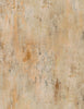 Vintage Texture-Bark