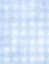 Dry Brush Checks: Pale Blue