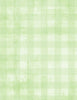 Dry Brush Checks: Pale Lime