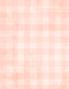 Dry Brush Checks: Pale Apricot
