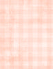 Dry Brush Checks: Pale Apricot
