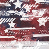 American Ink: Graffiti Patriotic