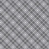 Bias Plaid- Gray