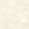 Buttermilk Neutral