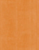 Canvas Texture: Orange