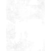 Dry Brush-White on White