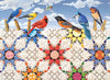 Feathered Stars Puzzle 500 pieces