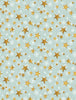 Friendly Gathering Stars-Teal