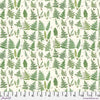 Green Palette: Ferns