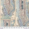 Indigo Palette: Map