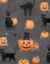 Meow-gical: Black Cats&Pumpkins