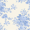 Something Blue: Carol Pale Blue