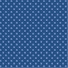 Something Blue Blender: Dorothy Night