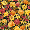 Monarch Meadow: Packed Floral Black
