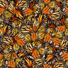 Monarch Meadow: 108 Wide Packed Butterfly Wings