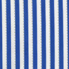 BeColourful Stripe:Blue