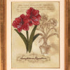 Botanical Gardens Embroidery Collection