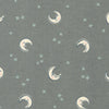 Cozy Cotton Flannel: Shadow 21892