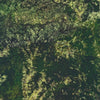 Earth Views: Forest 21145