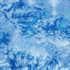 Earth Views: Frost 21139