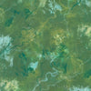 Earth Views: Moss 21148