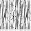 Fletcher: White Birch Forest