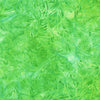 Floral Paradise: Green 22210