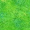 Floral Paradise: Green 22211