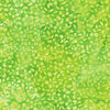 Floral Paradise: Lime 22211