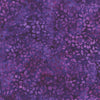 Floral Paradise: Purple 22211