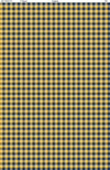 Gingham: Gold & Navy