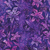 Lily Bella: Purple 22340