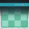 Longarm Collection-Volume 12