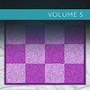 Longarm Collection-Volume 5